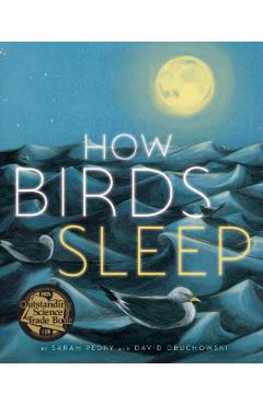 How Birds Sleep - David Obuchowski
