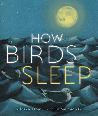 How Birds Sleep - David Obuchowski