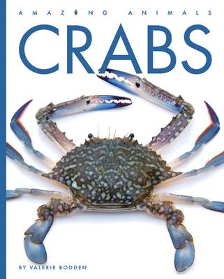 Crabs - Valerie Bodden