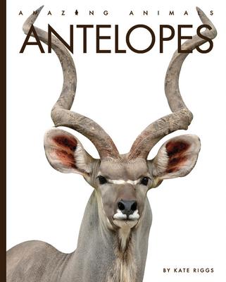 Antelopes - Kate Riggs