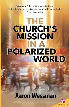 The Church's Mission in a Polarized World - Fr Robert Aaron Wessman
