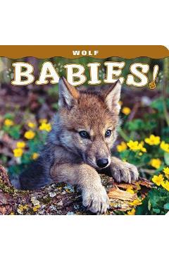 Coperta cărții 'Wolf Babies! - Lisa Husar'