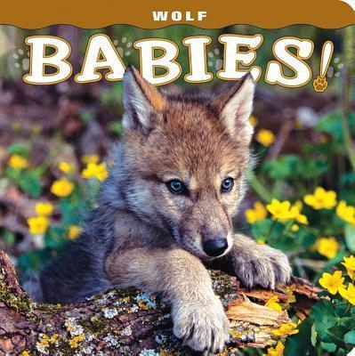 Coperta cărții 'Wolf Babies! - Lisa Husar'