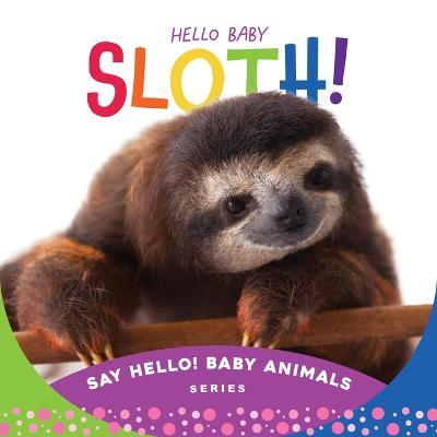 Hello Baby Sloth! - Beverly Rose