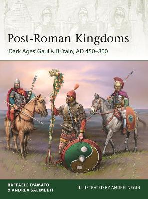 Post-Roman Kingdoms: 'Dark Ages' Gaul & Britain, Ad 450-800 - Raffaele D'amato