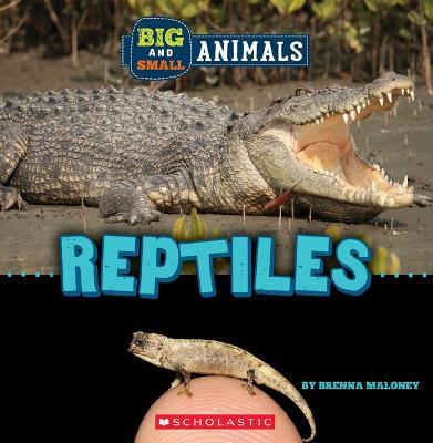 Big and Small: Reptiles (Wild World) - Brenna Maloney