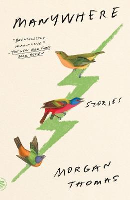 Manywhere: Stories - Morgan Thomas