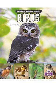 Coperta cărții 'Birds - Tracy Vonder Brink'