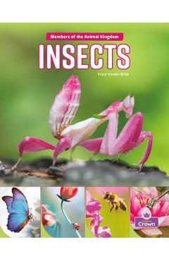 Coperta cărții 'Insects - Tracy Vonder Brink'
