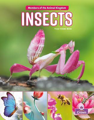 Coperta cărții 'Insects - Tracy Vonder Brink'