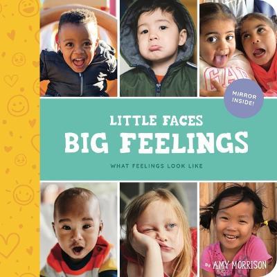 Little Faces Big Feelings: What Emotions Look Like - Amy Morrison