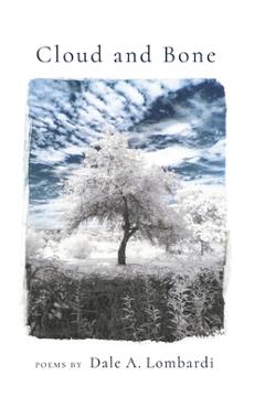 Coperta cărții 'Cloud and Bone - Dale A. Lombardi'