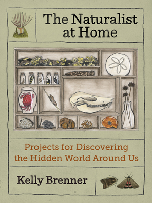 The Naturalist at Home: Projects for Discovering the Hidden World Around Us - Kelly Brenner