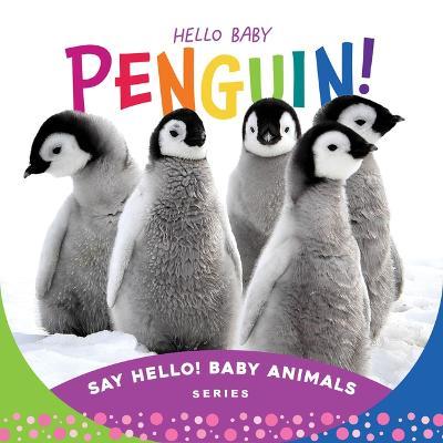 Hello Baby Penguin! - Beverly Rose