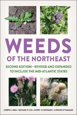 Weeds of the Northeast - Joseph C. Neal