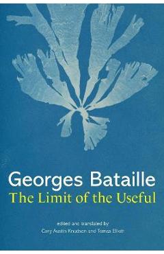 The Limit of the Useful