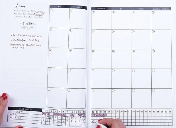 Planner anual: 365 Days. Cactus ways