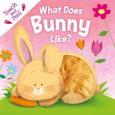 What Does Bunny Like?: Touch & Feel Board Book - Igloobooks