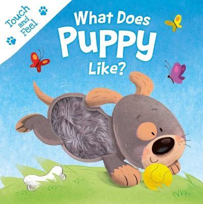 What Does Puppy Like?: Touch & Feel Board Book - Igloobooks