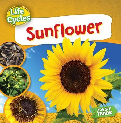 Sunflower - Nancy Dickmann