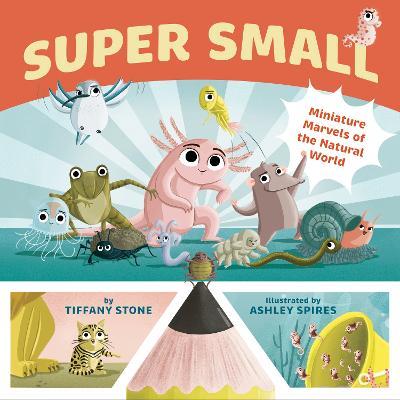 Super Small: Miniature Marvels of the Natural World - Tiffany Stone