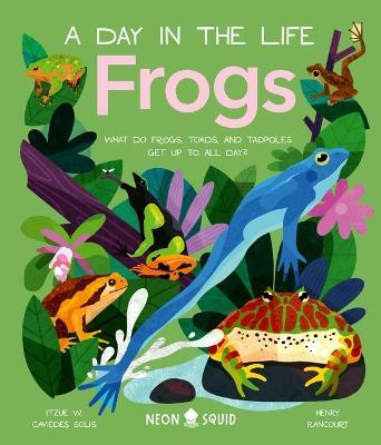 Frogs (a Day in the Life): What Do Frogs, Toads, and Tadpoles Get Up to All Day? - Itzue W. Caviedes-solis