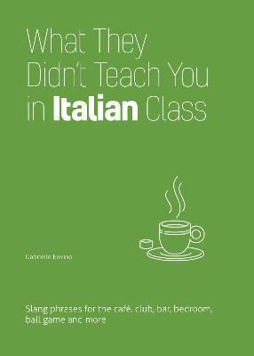 What They Didn't Teach You in Italian Class: Slang Phrases for the Cafe, Club, Bar, Bedroom, Ball Game and More - Gabrielle Euvino