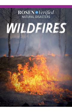 Coperta cărții 'Wildfires - Theresa Emminizer'