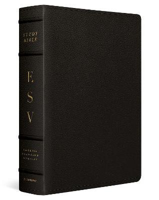 ESV Study Bible, Large Print (Buffalo Leather, Deep Brown) - 