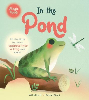 In the Pond: A Magic Flaps Book - Will Millard