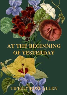 At The Beginning Of Yesterday - Tiffiny Rose Allen