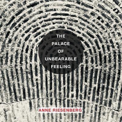 The Palace of Unbearable Feeling - Anne Riesenberg