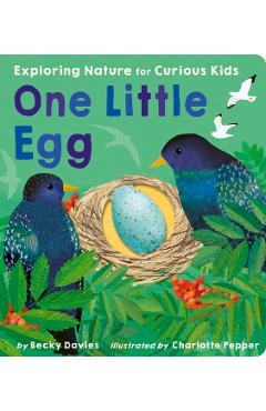 One Little Egg: Exploring Nature for Curious Kids - Becky Davies