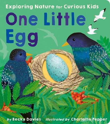 One Little Egg: Exploring Nature for Curious Kids - Becky Davies