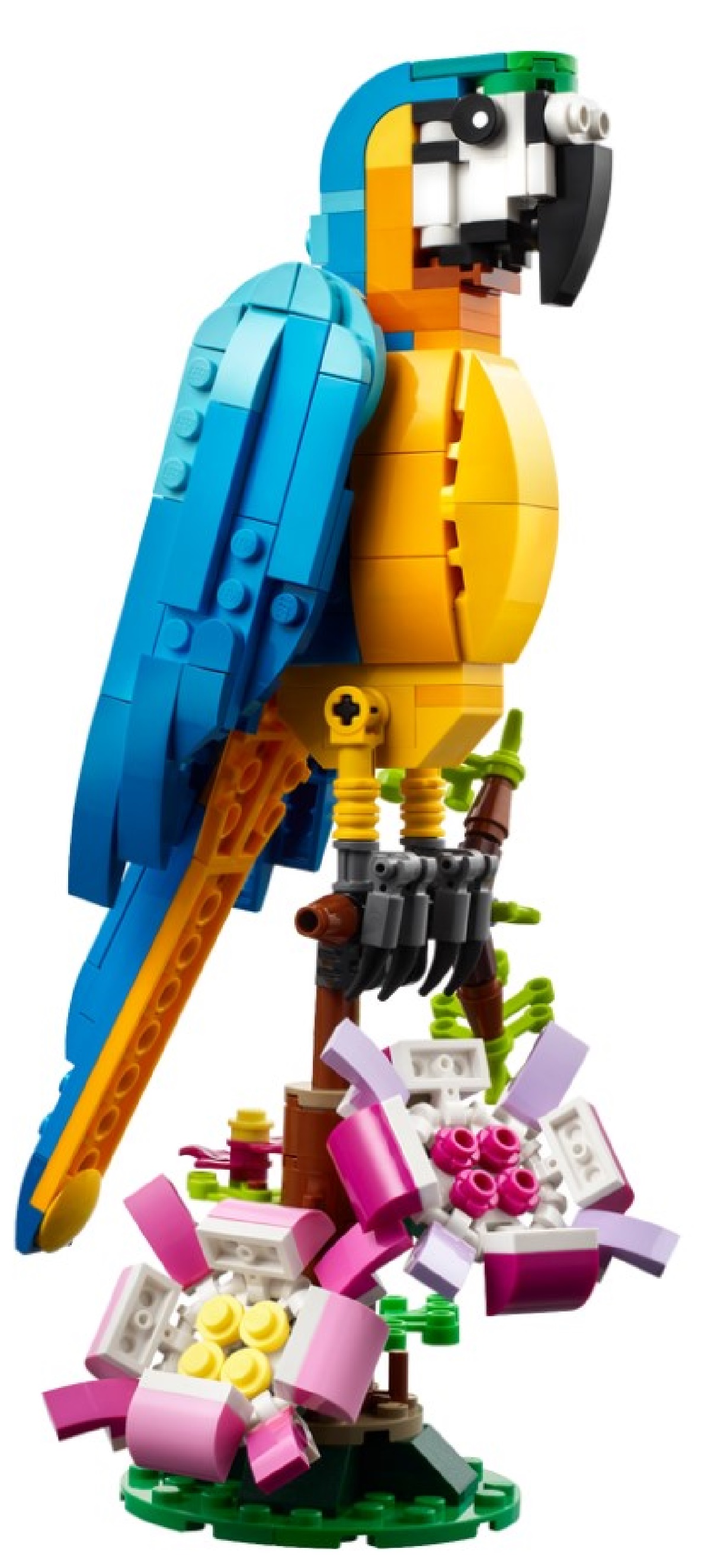 Lego Creator 3 in 1. Papagal exotic