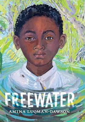 Freewater - Amina Luqmandawson