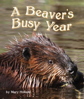 The Beavers' Busy Year - Mary Holland
