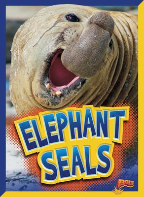 Elephant Seals - Gail Terp