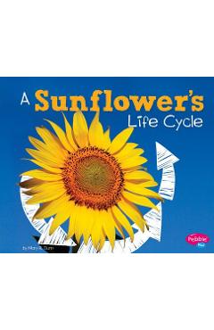Poza produsului A Sunflower's Life Cycle - Mary R. Dunn