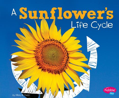 A Sunflower's Life Cycle - Mary R. Dunn
