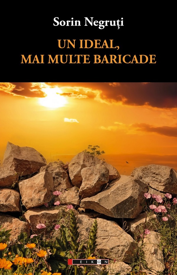 Un ideal, mai multe baricade - Sorin Negruti