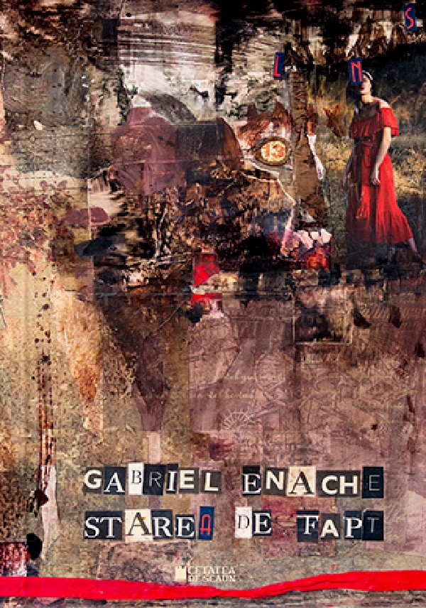 Starea de fapt - Gabriel Enache