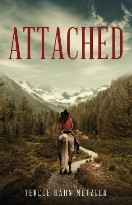 Attached - Terece Hahn Metzger