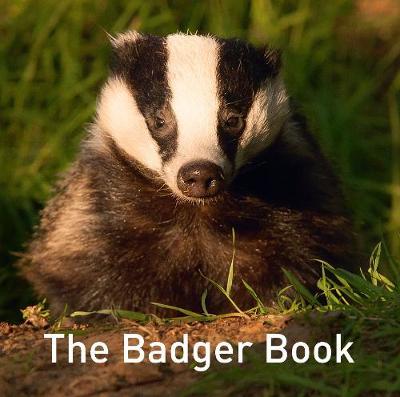 The Badger Book - Jo Byrne