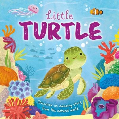 Nature Stories: Little Turtle: Padded Board Book - Igloobooks