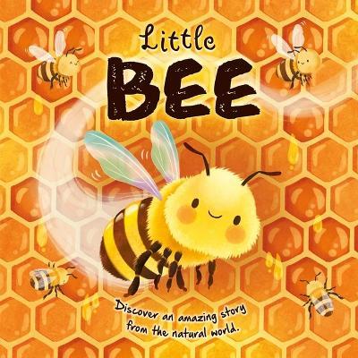 Nature Stories: Little Bee: Padded Board Book - Igloobooks