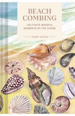 Pocket Nature Series: Beachcombing: Cultivate Mindful Moments by the Shore - Sadie Small