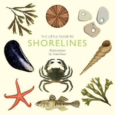 The Little Guide to Shorelines - Alison Davies