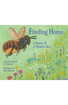 Finding Home: A Story of a Mason Bee - Brannen Basham