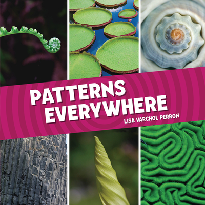 Patterns Everywhere - Lisa Varchol Perron